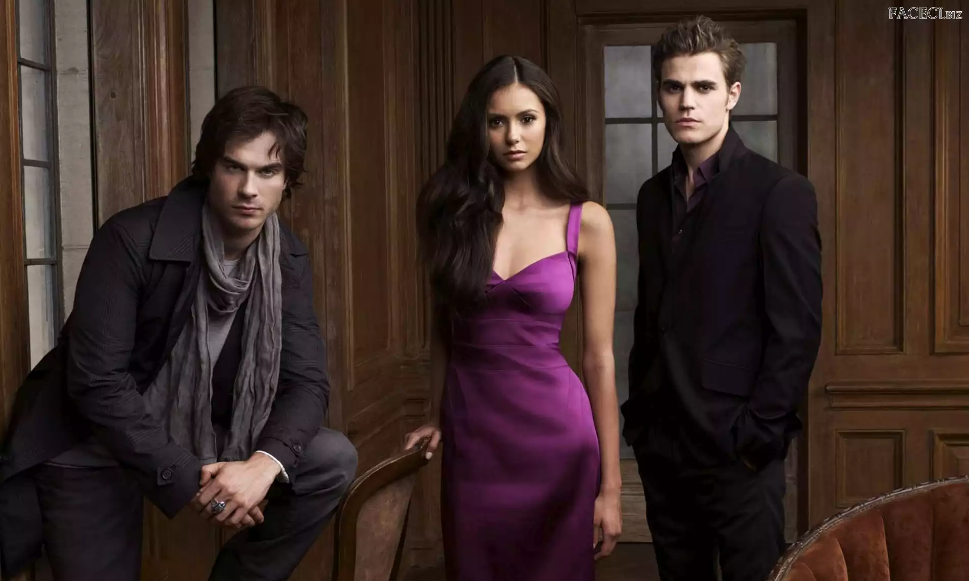 Stefan, Elena, Pamiętnik Wampirów, Damon